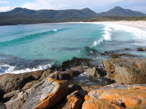 Chanpagne in the wineglass