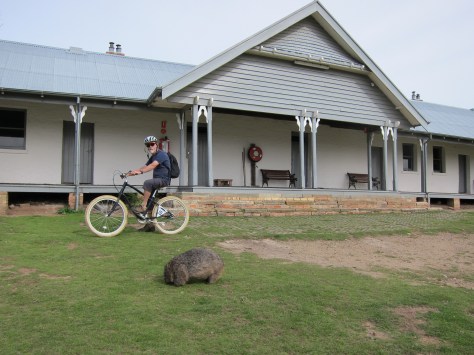 Cruiser and penitentiary