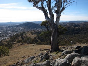 Suburbs and nature park hilltops